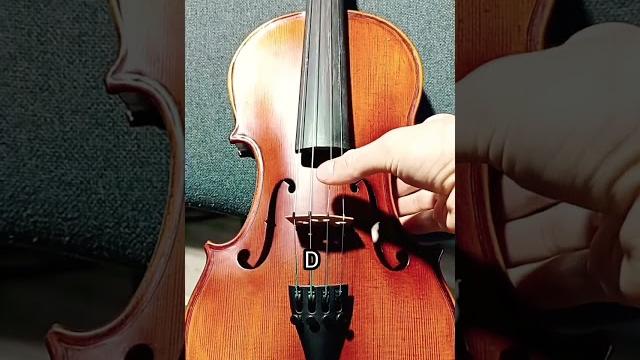 Violin tuning! #shorts #violin #tuning #video Violin tuning! #shorts #violin #tuning #video