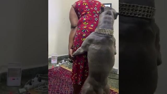 زورو فهمان الموضوع غلط ! زورو فهمان الموضوع غلط !