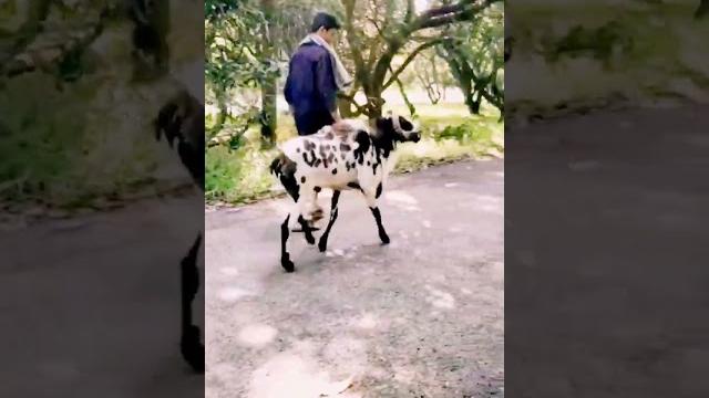 Muttu kida whatsapp status Muttu kida whatsapp status