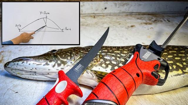 The only northern pike fillet tutorial you'll ever need! The only northern pike fillet tutorial you'll ever need!