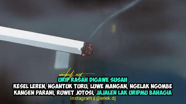 Ngentot Ngentot
