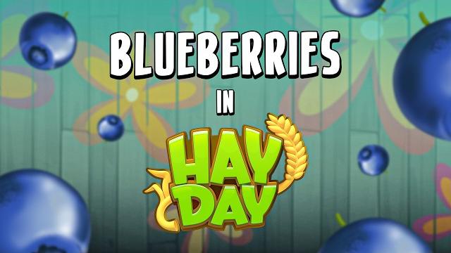 Blueberries and capybaras in hay day?! Blueberries and capybaras in hay day?!