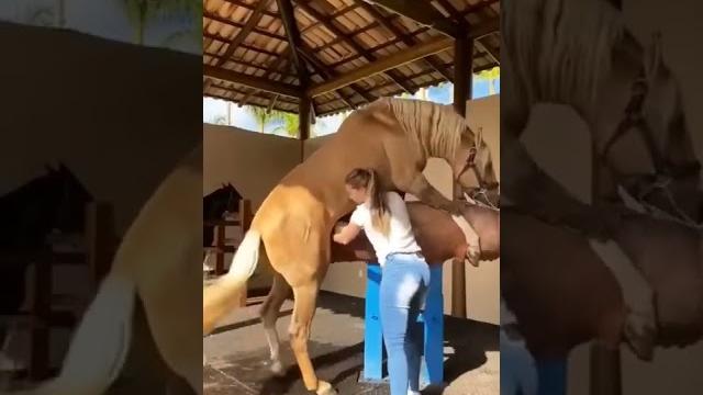 #shorts #viral girl help horse sex #shortfeed #shorts #viral girl help horse sex #shortfeed