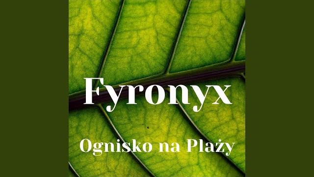 Ognisko na plaży Ognisko na plaży
