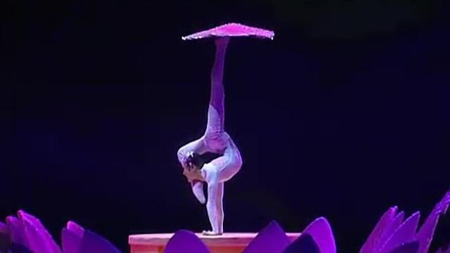 Chinese contortion: rug spinning 柔术转毯《荷风飘香》 Chinese contortion: rug spinning 柔术转毯《荷风飘香》