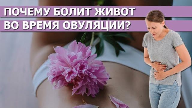 Болит живот при овуляции. опасно или норма Болит живот при овуляции. опасно или норма