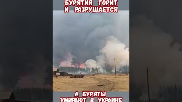 Почему бурятия горит и никто не помогает #армиярф #историяроссии #армияроссии #приколы #историявойны Почему бурятия горит и никто не помогает #армиярф #историяроссии #армияроссии #приколы #историявойны