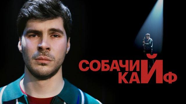 Богдан лисевский "собачий кайф" стендап 2025 Богдан лисевский "собачий кайф" стендап 2025