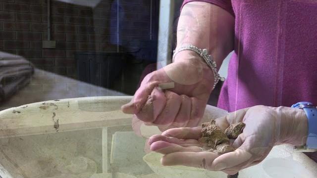 How to tell if your soil is a sand, loam or clay How to tell if your soil is a sand, loam or clay