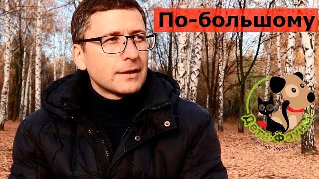 Как часто кошка должна ходить по большому? Как часто кошка должна ходить по большому?