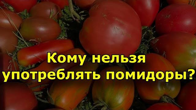 Кому нельзя употреблять помидоры? Кому нельзя употреблять помидоры?