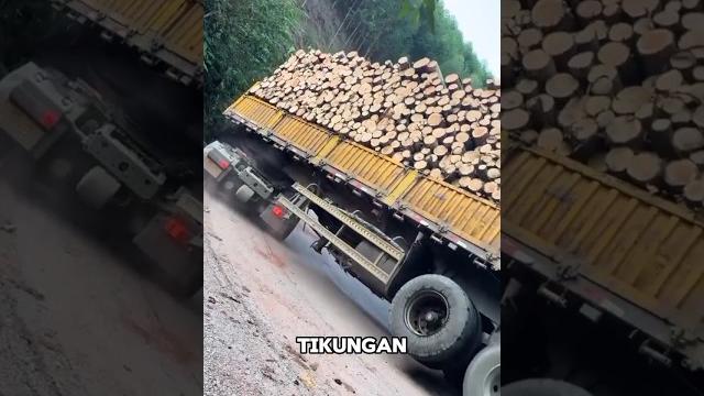 Detik - detik truk bermuatan kayu ini terguling saat melewati tikungan yang curam #shorts Detik - detik truk bermuatan kayu ini terguling saat melewati tikungan yang curam #shorts