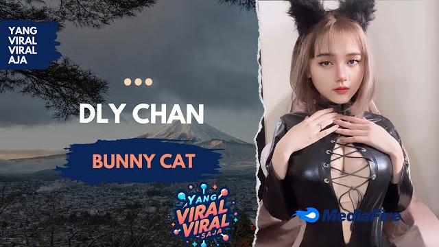 Dly.chan - bunny cat Dly.chan - bunny cat