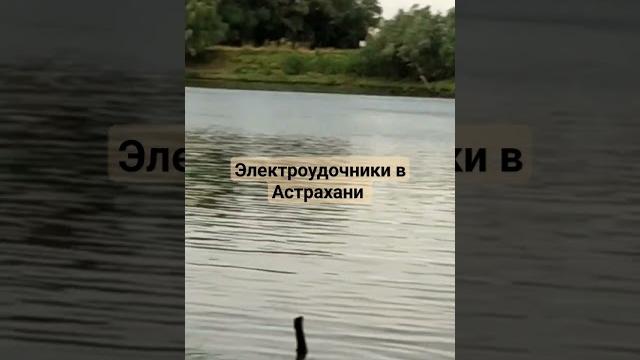 Браконьеры с электроудочками борзеют! Браконьеры с электроудочками борзеют!