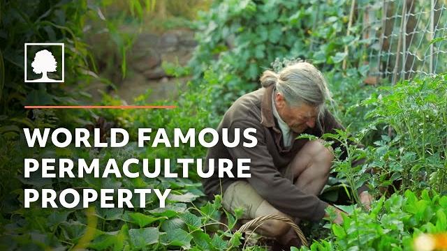 World famous permaculture property tour | david holmgren and su dennett's melliodora World famous permaculture property tour | david holmgren and su dennett's melliodora