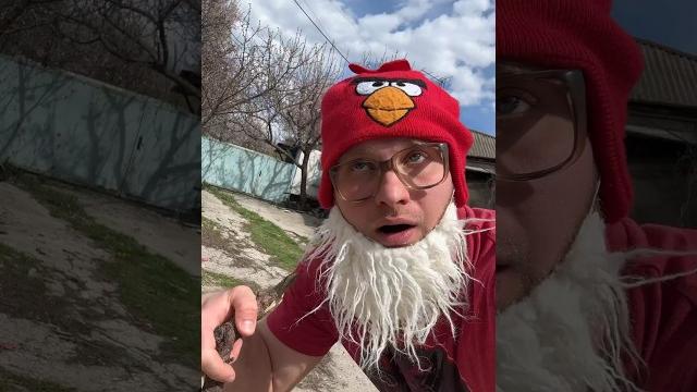 Мама и случайная встреча (смешное видео, юмор, приколы, поржать) Мама и случайная встреча (смешное видео, юмор, приколы, поржать)