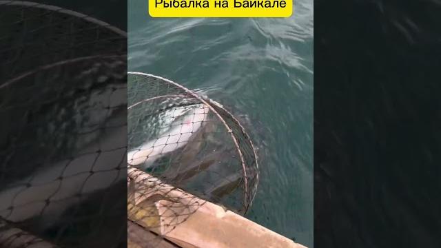 Рыбалка на байкале летом. Рыбалка на байкале летом.