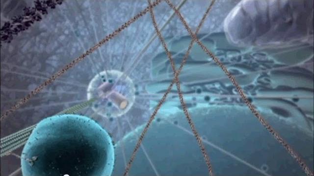 The nano robots inside you The nano robots inside you