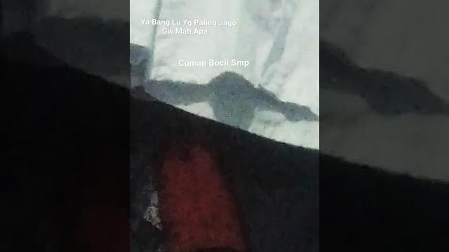 Story wa bocil smp|30 detik Story wa bocil smp|30 detik