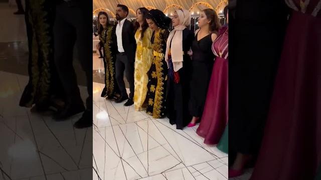Güzel mardinli kızlardan muhteşem govend cida halayı #wedding #dance #shrots #kurdish #kurdishdance Güzel mardinli kızlardan muhteşem govend cida halayı #wedding #dance #shrots #kurdish #kurdishdance