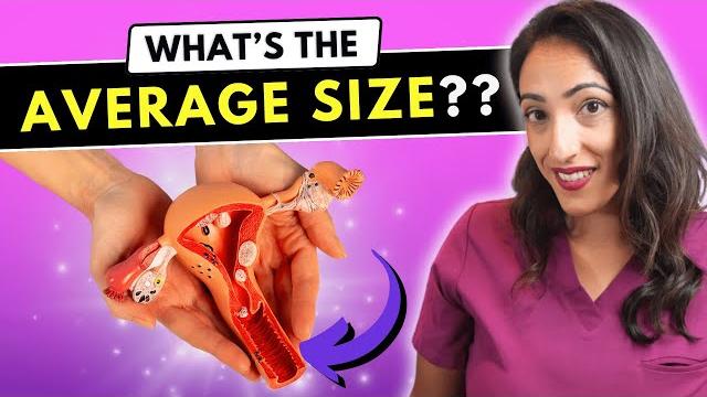 How deep is the vagina? urologist explains average vaginal size (not as big as you think!) How deep is the vagina? urologist explains average vaginal size (not as big as you think!)