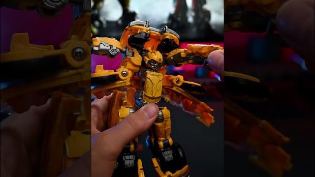 This bumblebee make me crazy This bumblebee make me crazy