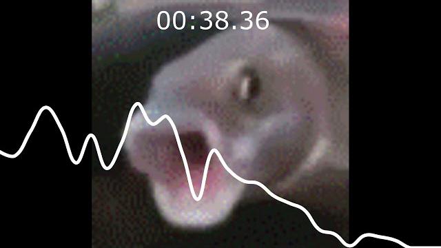 Untitled beepbox song Untitled beepbox song