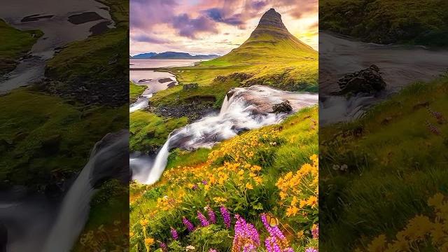Revealing the secret of the flower steppe as beautiful as in a painting! #naturesnow#shorts #nature Revealing the secret of the flower steppe as beautiful as in a painting! #naturesnow#shorts #nature