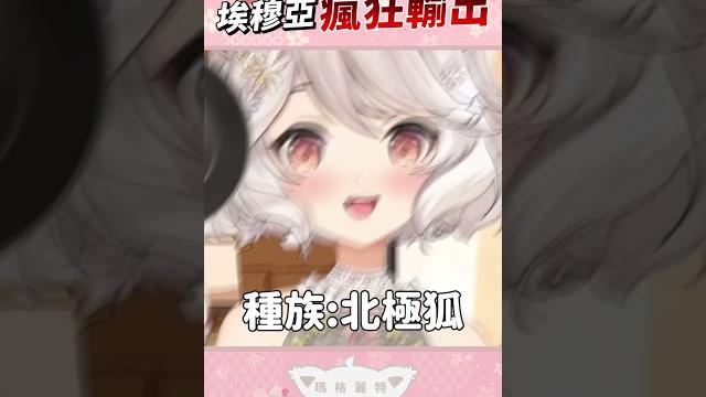 埃穆亞最喜歡小狐狸 #shorts #vtuber #瑪格麗特諾爾絲 #埃穆亞 埃穆亞最喜歡小狐狸 #shorts #vtuber #瑪格麗特諾爾絲 #埃穆亞