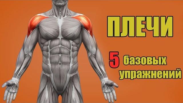 Плечи. 5 базовых упражнений. + ошибки убивающие прогресс! Плечи. 5 базовых упражнений. + ошибки убивающие прогресс!