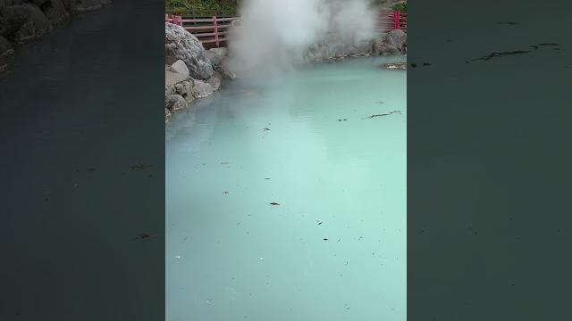 Beppu jigoku meguri: shiraike jigoku #japan #nature #writersinspiration 95 celsius. #shorts Beppu jigoku meguri: shiraike jigoku #japan #nature #writersinspiration 95 celsius. #shorts