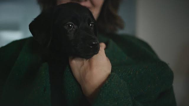 Coal, the holiday surprise | chewy commercial Coal, the holiday surprise | chewy commercial