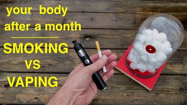 How smoking vs vaping affects your lungs ● you must see this ! ! How smoking vs vaping affects your lungs ● you must see this ! !