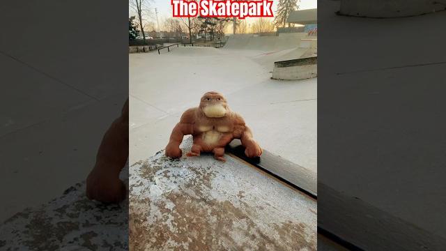 Squishy monkey big splat! #japan #funny #baby #squishy #monkey #funnymonkey #funnyanimal #grimace Squishy monkey big splat! #japan #funny #baby #squishy #monkey #funnymonkey #funnyanimal #grimace