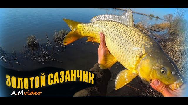 Рыбалка с ночёвкой на реке днестр (глубокий турунчук). ловля сазана на офсетный крючок. Рыбалка с ночёвкой на реке днестр (глубокий турунчук). ловля сазана на офсетный крючок.
