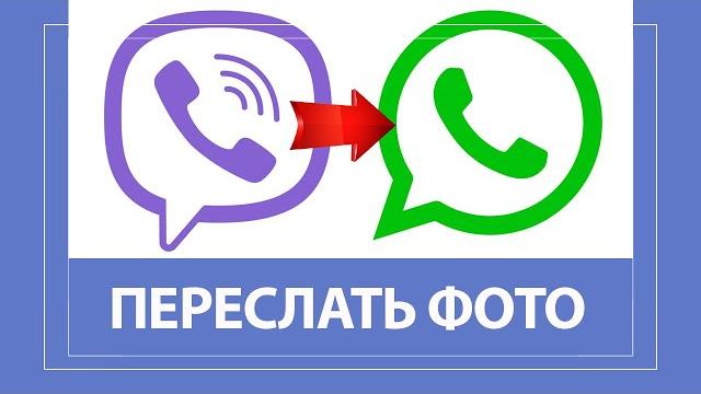 Как отправить (переслать) фото с вайбера в ватсап! Как отправить (переслать) фото с вайбера в ватсап!