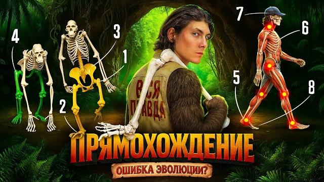 Почему болит спина, колени и стопы? вся правда о походке и 8 ключевых движений для здоровой ходьбы Почему болит спина, колени и стопы? вся правда о походке и 8 ключевых движений для здоровой ходьбы