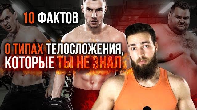 Телосложение: эндоморф, мезоморф, эктоморф Телосложение: эндоморф, мезоморф, эктоморф