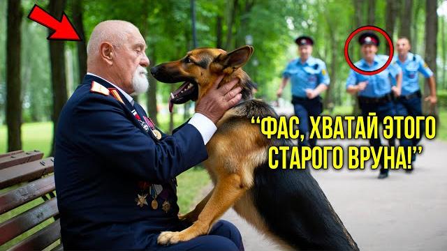 Пёс по приказу полиции бросился на пожилого ветерана — но то, что сделал пёс, поразило всех! Пёс по приказу полиции бросился на пожилого ветерана — но то, что сделал пёс, поразило всех!
