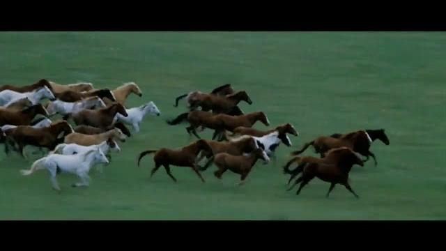 Rossini: william tell overture: final with horse run Rossini: william tell overture: final with horse run
