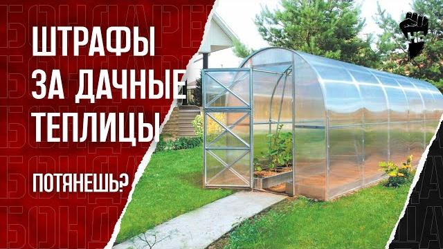Новый штраф и налог! народ будет платить по-полной Новый штраф и налог! народ будет платить по-полной