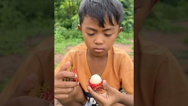 Survival skills: smart idea and useful in forest #bushcraft #camping #outdoors #survival Survival skills: smart idea and useful in forest #bushcraft #camping #outdoors #survival