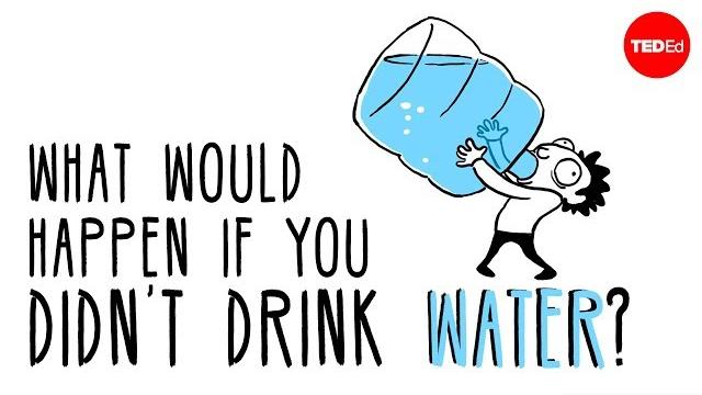 What would happen if you didn’t drink water? - mia nacamulli What would happen if you didn’t drink water? - mia nacamulli