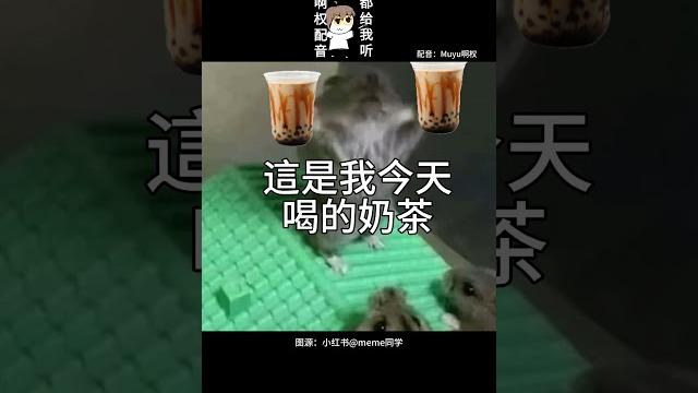 【muyu木又配音】get out 【muyu木又配音】get out