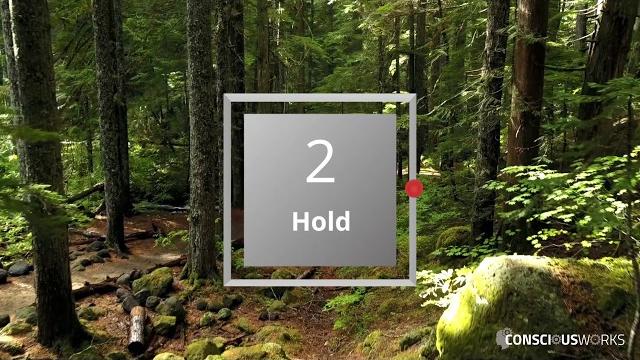 Box breathing – 1 minute in length Box breathing – 1 minute in length