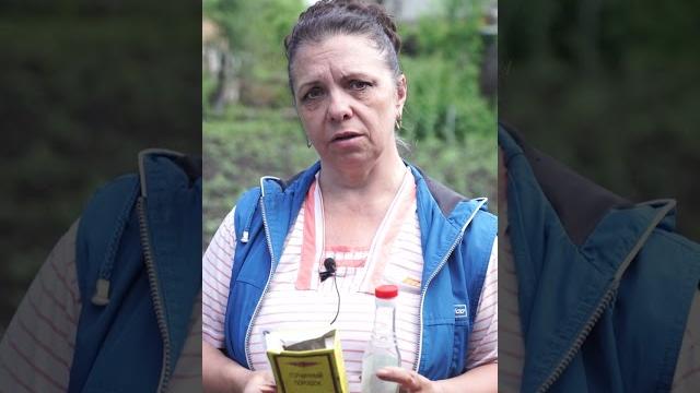 Как навсегда избавиться от колорадского жука Как навсегда избавиться от колорадского жука