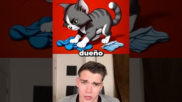 The cats have tricked us The cats have tricked us
