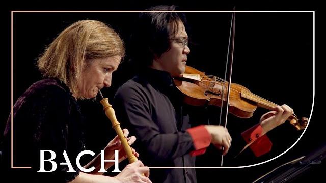 Bach - concerto for oboe and violin in c minor bwv 1060r - black and sato | netherlands bach society Bach - concerto for oboe and violin in c minor bwv 1060r - black and sato | netherlands bach society
