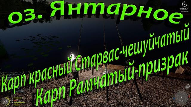 Русская рыбалка 4 - озеро янтарное - карп красный старвас-чашуйчетый - карп рамчатый-призрак Русская рыбалка 4 - озеро янтарное - карп красный старвас-чашуйчетый - карп рамчатый-призрак