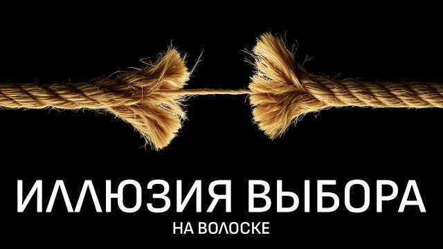 Через час вы потеряете веру в свободу воли Через час вы потеряете веру в свободу воли